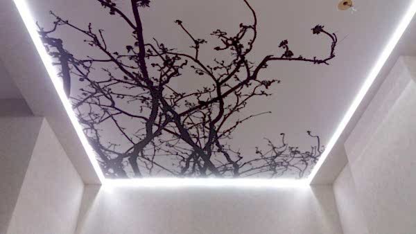 Натяжной потолок с фотопечатью