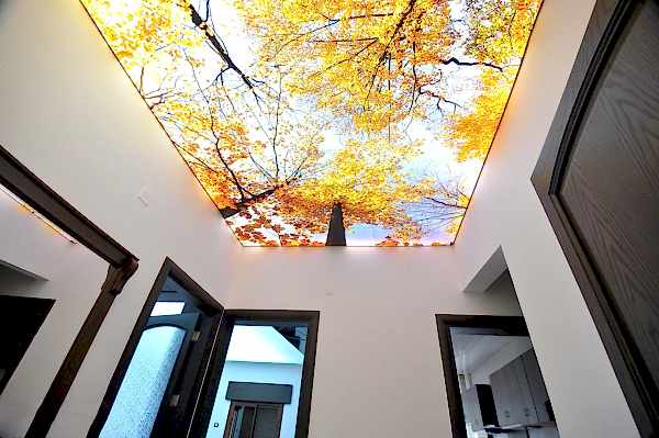 Пример натяжного потолка с фотопечатью в коридор